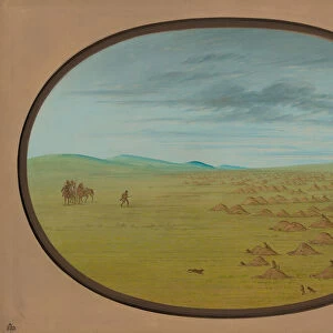 Prairie Dog Village, 1861 / 1869. Creator: George Catlin