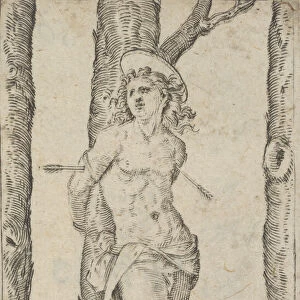 Saint Sebastian tied to tree pierced with arrows, from the series Piccoli Santi... ca