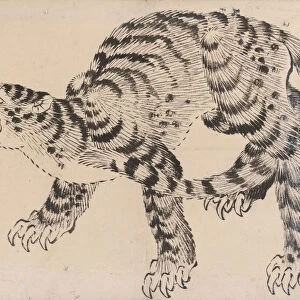 Tiger, 19th century. Creator: Hokusai School