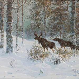 Winter Landscape with Mooses, 1907. Artist: Muravyov, Count Vladimir Leonidovich (1861-1940)