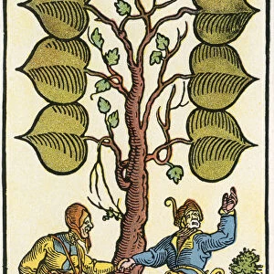 16th Century German Playing Card. From Illustrierte Sittengeschichte Vom Mittelalter Bis Zur Gegenwart By Eduard Fuchs, Published 1909