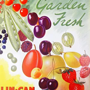 Advertisement For Lin-Can Canned Fruit, 20th century