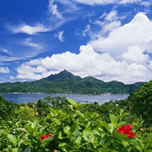 American Samoa, Pago Pago Harbor, Greenery And Flowers, Clouds In Sky