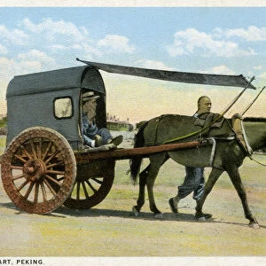 Archival color postcard of donkey cart with passenger, China, c 1910. (Photo by Allan Seiden)