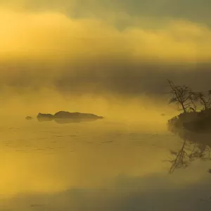 Autumn Sunrise Through Heavy Lake Mist, Bedford, Nova Scotia