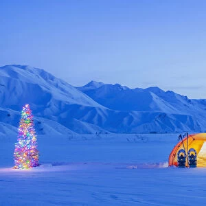 A Backpacking Tent And Snowshoes Lit Up At Dawn With A Christmas Tree Next To It Foothills Of The Alaska Range In The Distance Isabel Pass Along The Richardson Highway Interior Alaska; Anchorage Alaska United States Of America