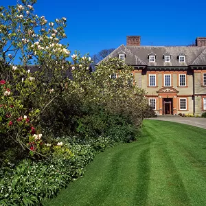 Beaulieu House And Gardens, Drogheda, Co Louth, Ireland; Magnolia Trees Near A 17Th Century House