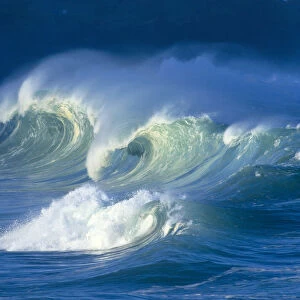 Big Stormy Waves With White Caps Curling, Waimea Shore Break C1690