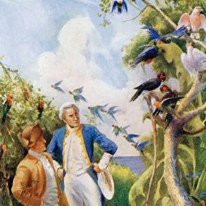 Captain James Cook And Botanist Joseph Banks Examining The Wild Life And Flora In Botany Bay, Australia. From The Life And Voyages Of Captain James Cook By C. G. Cash, Published Circa 1910