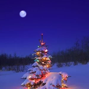Christmas Tree Glowing