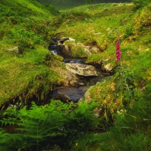 County Kerry, Ireland, Stream Near The Slieve Mish Mountains