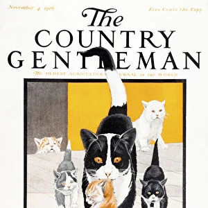 Cover Of Country Gentleman Agricultural Magazine From The Early 20th Century