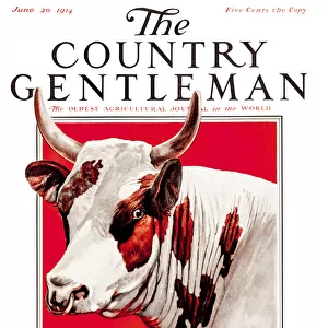 Design Pics Art Collection: Country Gentleman Agricultural Magazine Covers (1831-1955)