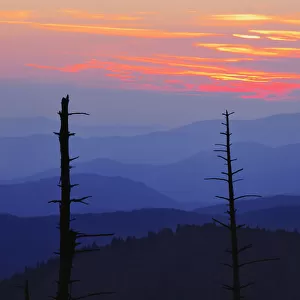 Dead Trees And Mountains At Dusk From Clingmans Dome, Great Smoky Mountains National Park, North Carolina