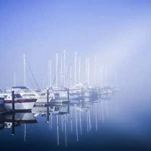 Docked Boats On A Foggy Morning, Winchester Bay; Oregon, United States Of America