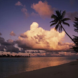 French Polynesia, Tetiaroa (Marlon Brandos Island), Beautiful Beach With Palm Tree At Sunset