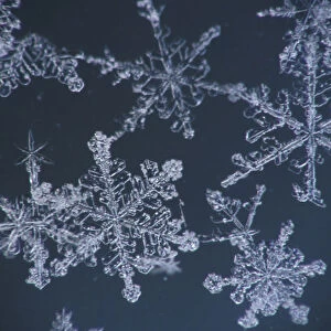 Frost Crystal On Glass Kodiak Isl Southwest Ak Winter Detail