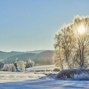Frozen landscape at sunrise in Bavaria, Germany