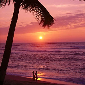 Hawaii, Couple Silhouetted On The Beach At Sunset With Tall Palm Foreground, A05G