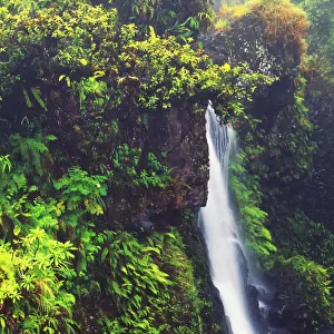 Hawaii, Maui, Foliage And Waterfall Along Hana Highway