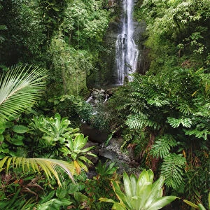 Hawaii, Maui, Hana, Wailua Falls, Beautiful Afternoon Light On Waterfall