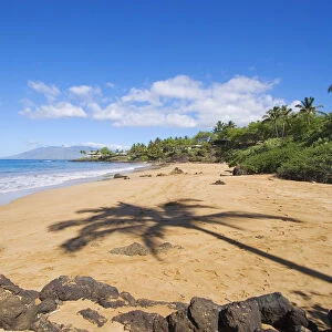 Hawaii, Maui, Makena, Changs Beach, Shadow Of Palm Tree On Sand