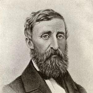 Henry David Thoreau 1817 To 1862 American Author Naturalist Transcendentalist Tax Resister Development Critic And Philosopher From An Early 20Th Century Book