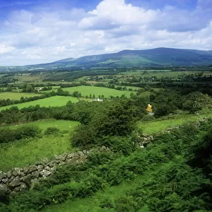 High Angle View Of Fields On A Landscape, Derrynamuck, County Wicklow, Republic Of Ireland