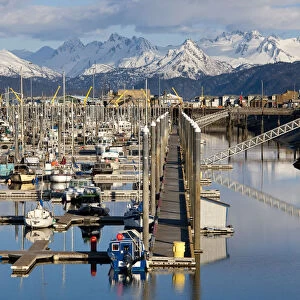 Homer Boat Harbor In Spring, Kenai Peninsula, Alaska