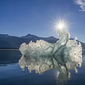 Iceberg, Tracy Arm, Alaska, USA