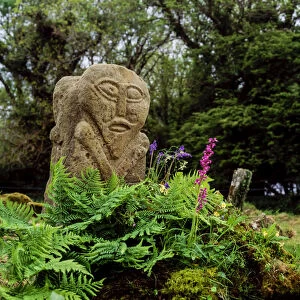 The Janus Stone, Boa Island Co Fermanagh, Ireland