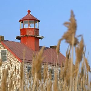 Lighthouse In Wheat Field