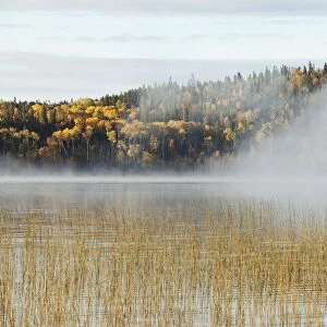 Mist Over A Lake In Autumn; Ontario, Canada