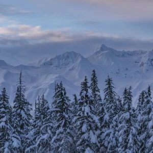 Morning light over the snow covered mountains and treetops, Haines Junction, Yukon, Canada