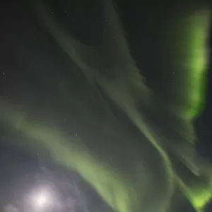 Northern Lights (Aurora Borealis); Yukon, Canada