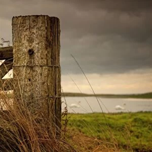 Northumberland, England; A Wooden Fence Post And A Pond In A Field