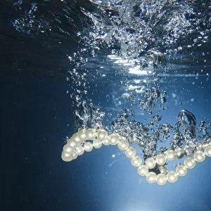 Pearl Necklace Underwater; Tarifa, Cadiz, Andalusia, Spain