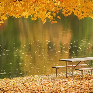 A picnic table beside a tranquil lake with golden leaves on the trees in autumn, shawnee state park; Ohio, united states of america