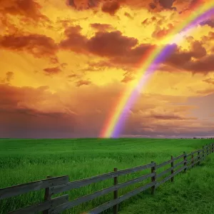 Rainbow In Country Field With Gold Clouds