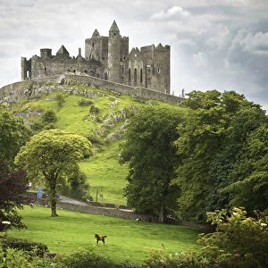Rock Of Cashel; Cashel County Tipperary Ireland