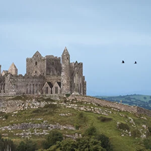 Rock of Cashel on the hilltop with birds flying against the cloudy sky, County Tipperary, Ireland