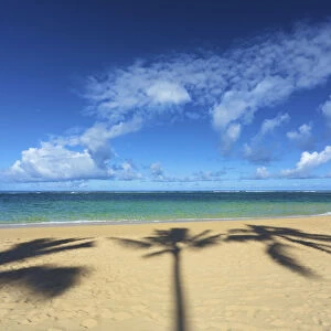 Shadows Of Palm Trees On Tunnels Beach; Kauai, Hawaii, United States Of America