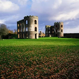 Shanes Castle, Co Antrim, Ireland, Near Lough Neagh