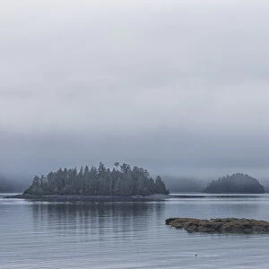Small Islands Covered With Trees In The Fog; British Columbia, Canada