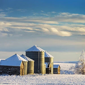 Snow Covered Metal And Wooden Grain Bins With Frosted Trees, Bushes And Stubble With Clouds And Blue Sky; Rosebud, Alberta, Canada