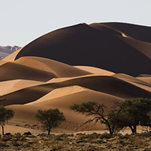 Sunrise Light Illuminate The Large, Red Sand Dunes In Sossusvlei Which Is Part Of The Namib Desert; Namibia