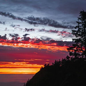 The Sunset At Oswald West State Park; Manzanita, Oregon, United States Of America