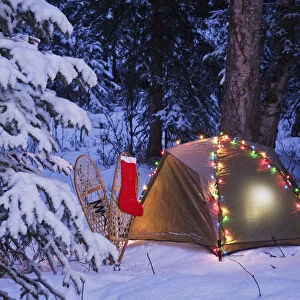 A Tent Is Set Up In The Woods With Christmas Lights And Stocking Near Anchorage, Alaska