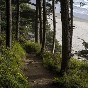 Trail to Crescent Beach, Ecola State Park, Oregon, USA