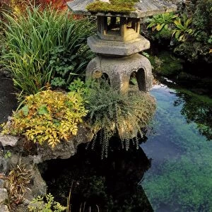 Tully Japanese Gardens, Co Kildare, Ireland; Japanese Lantern